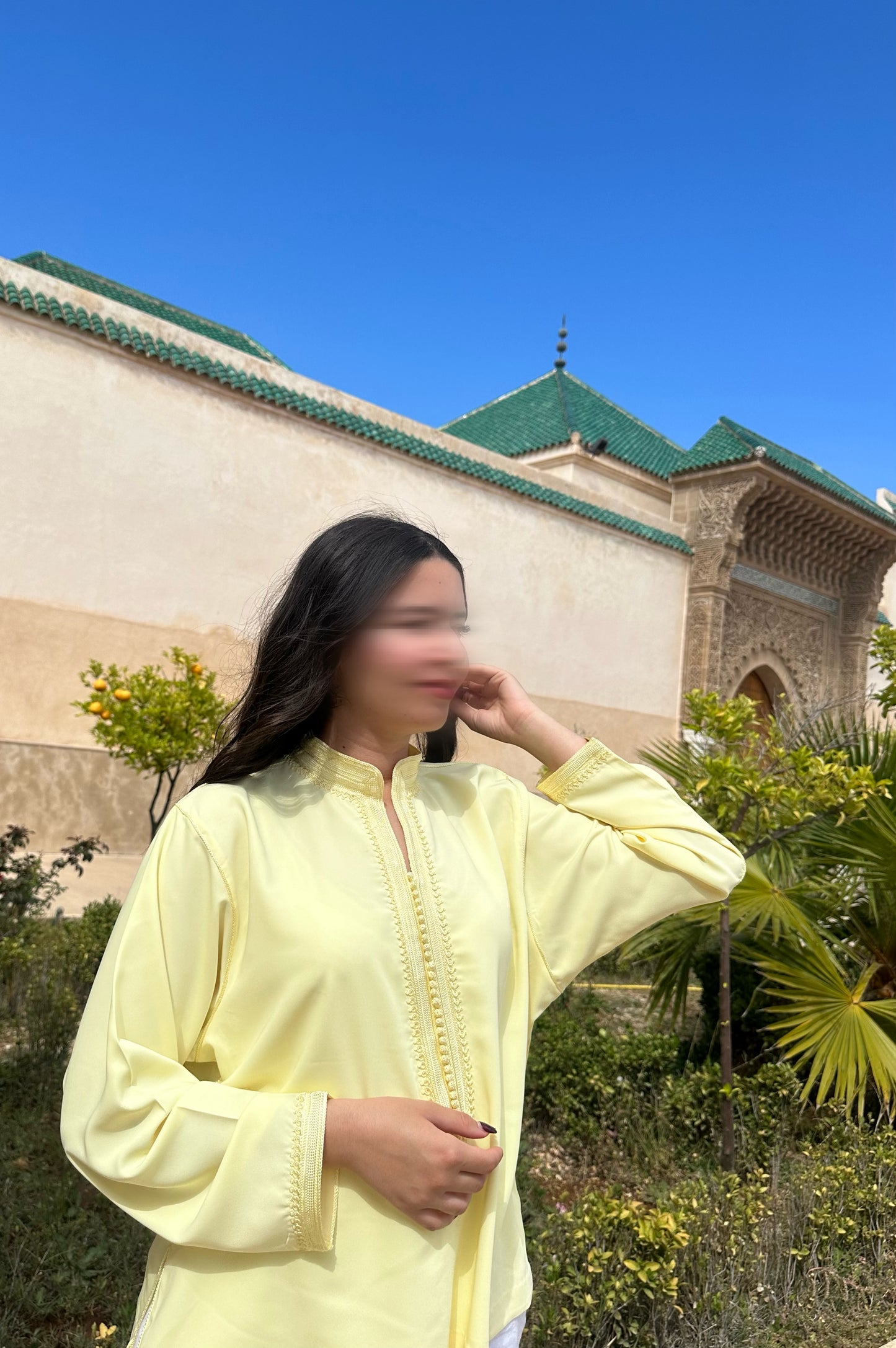 Jabador Dalia jaune
